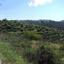 plot for sale tsada paphos 1680378 thumbnail 15309516