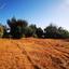 land for sale paralimni famagusta 1353478 thumbnail 15867425