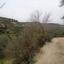 10034 SQM Land for sale in Kallepeia, Paphos thumbnail 15620603