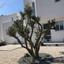 2 bedroom detached house for sale drimou paphos 8746578 thumbnail 16443229