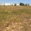 land for sale dasoupoli nicosia 829578 thumbnail 2820981