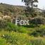 land for sale kalavasos larnaca 1146578 thumbnail 5509049