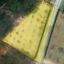 plot for sale moni limassol 7953578 thumbnail 11371215