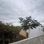 4 bedroom bungalow for sale livadia larnacas larnaca 8060678 thumbnail 16036923
