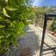 5 bedroom detached house for sale lofos tala paphos 8658678 thumbnail 16022801