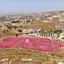 land for sale agia marinouda paphos 8592678 thumbnail 15708806