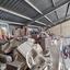 studio warehouse for sale agios silas limassol 8350678 thumbnail 14432597