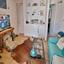 1 bedroom apartment for sale kapparis famagusta 8804778 thumbnail 16800353