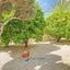 2 bedroom detached house for sale peyia paphos 8570778 thumbnail 17374161
