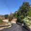 land for sale kallepeia paphos 8630778 thumbnail 16278057
