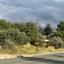 land for sale shia nicosia 1756778 thumbnail 5882440