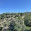 land for sale lysos paphos 1751878 thumbnail 17922745