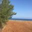 plot for sale nea dimmata paphos 1680878 thumbnail 10266041