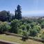 3 bedroom detached house for sale tala paphos 8965978 thumbnail 17826876