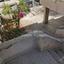 4 bedroom semi detached house for sale strovolos nicosia 1573978 thumbnail 13608734