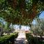 5 bedroom detached house for sale coral bay paphos 7739978 thumbnail 12581379