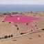 land for sale agios theodoros larnacas larnaca 1221978 thumbnail 2006670