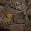 land for sale alaminos larnaca 8607978 thumbnail 15784415