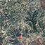 land for sale amargeti paphos 873978 thumbnail 15598669