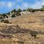 land for sale amargeti paphos 873978 thumbnail 17102721