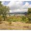 land for sale pera pedi limassol 7925978 thumbnail 11237331