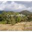 land for sale pera pedi limassol 7925978 thumbnail 11237332