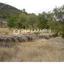 land for sale pera pedi limassol 7925978 thumbnail 11237333
