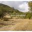 land for sale pera pedi limassol 7925978 thumbnail 11237335