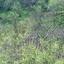 plot for sale askas nicosia 1935978 thumbnail 13630691