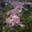 plot for sale askas nicosia 1935978 thumbnail 13630692