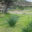 plot for sale kato polemidia limassol 7649978 thumbnail 14188352