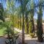 5 bedroom detached house for sale palodeia limassol 8375088 thumbnail 15277338