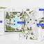 1 bedroom apartment for sale neapolis limassol 8351188 thumbnail 14447495
