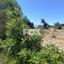 land for sale anogyra limassol 8908188 thumbnail 17399086