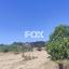 land for sale anogyra limassol 8908188 thumbnail 17399089