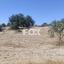 land for sale anogyra limassol 8908188 thumbnail 17399093