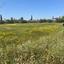 land for sale dali nicosia 1190188 thumbnail 5823849