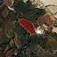 land for sale ineia paphos 1785188 thumbnail 16009318