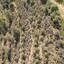 land for sale mosfiloti larnaca 8562188 thumbnail 15594175