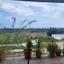 land for sale zygi larnaca 7899188 thumbnail 11101023