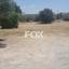 plot for sale ypsonas limassol 1147188 thumbnail 14428476