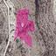 24750 SQM Land for sale in Kato Drys, Larnaca thumbnail 14116044