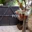 3 bedroom detached house for sale pano platres limassol 1146288 thumbnail 5505326