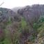 land for sale kallepeia paphos 8630388 thumbnail 15872988