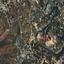 land for sale kato arodes paphos 1410388 thumbnail 15598685