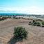 land for sale maroni larnaca 1226388 thumbnail 5626307