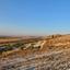 plot for sale aradippou larnaca 8936388 thumbnail 17639870
