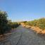 plot for sale aradippou larnaca 8936388 thumbnail 17639881