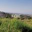 4 bedroom detached house for sale coral bay paphos 1410488 thumbnail 5611814