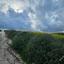 land for sale kato arodes paphos 8399488 thumbnail 17043602